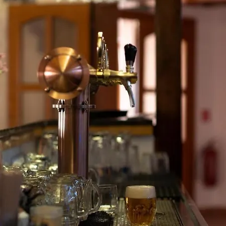 Pegas Гостьовий будинок